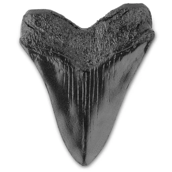 Зъбите Черна Акула Ископаемый 5-инчов Гигантски Зъб Мегалодона Лесно Моющийся От Смола Зъби на Акула Морска Биология Учебна Подпори за Деца