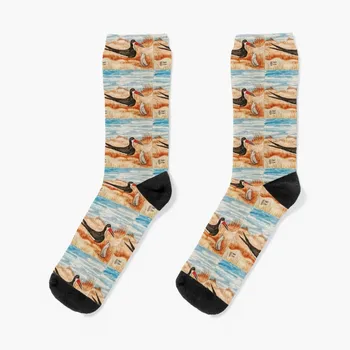 Черни чорапи за скимер и пиле, стръмни чорапи, дизайнерски чорапи, чорапи за колоездене в ретро стил, мъжки, дамски чорапи