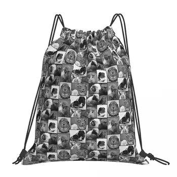 Раници за морски свинчета, ежедневни чанти за преносими животни на съвсем малък, спортна чанта от съвсем малък, чанти и калъфи за книги, ученически чанти за пътуване