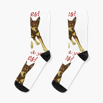 Да, аз пасу теб - Чорапи с австралийското келпи, Чорапи, мъжки футболни чорапи, Дамски, Мъжки чорапи