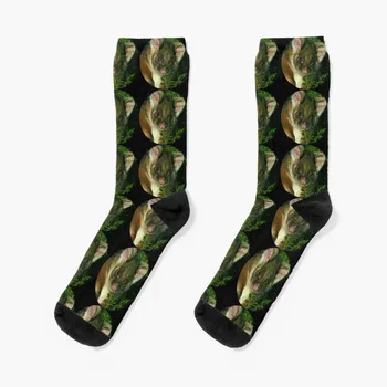Чорапи с портрет кольчужного опосум, незаменими зимни подаръци, коледни чорапи за момчета, женски